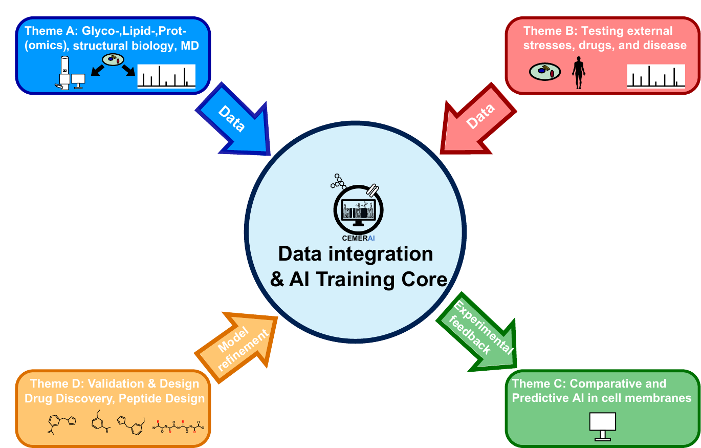 CEMERAI overview figure